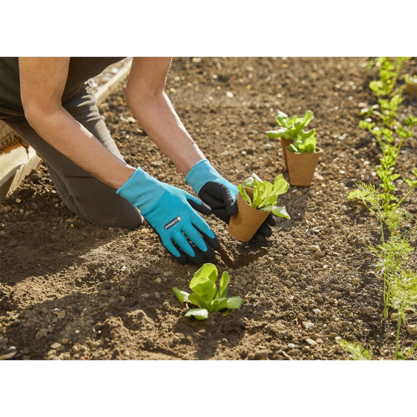 6-teiliges Gartenwerkzeug-Set & Gardena Gartenhandschuhe Gr. L