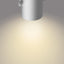 Philips Byre Spotleuchte | 2x 4,3 Watt | Silber