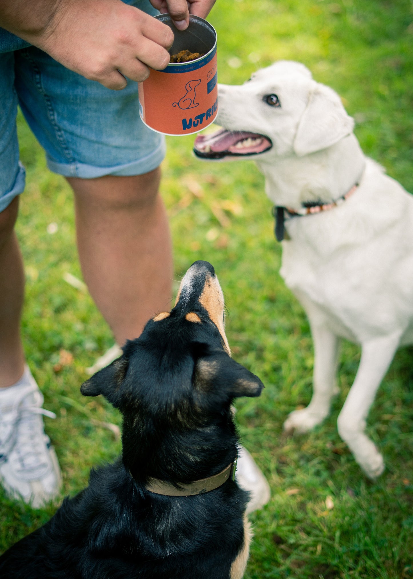 Nutrilino Good Pooh Nahrungsergänzung für Hunde